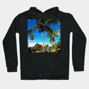 Palm Trees Hoodie